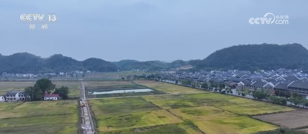 处不在 “大国粮仓”装满科技“密码”k8凯发马竞赞助从育种到收割 科技无