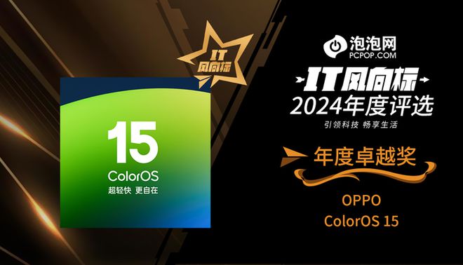2024年度评选：年度卓越奖马竞合作伙伴【IT风向标】(图5)